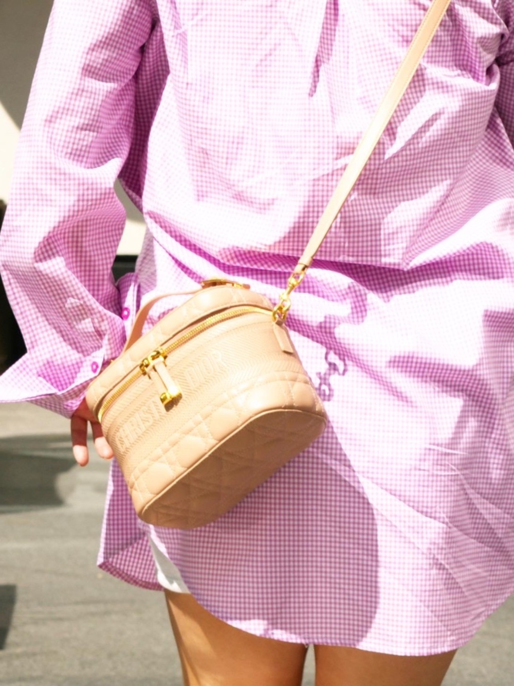 Dior Travel Vanity Bag - Rose Des Vents - Picture 3 of 13